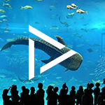 Antalya-aquarium-web