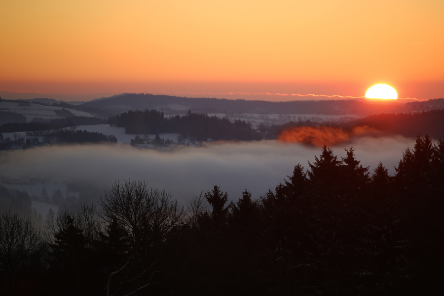 Mrazivé ráno v Pojizeří, ocenění na Fotograf roku 2015